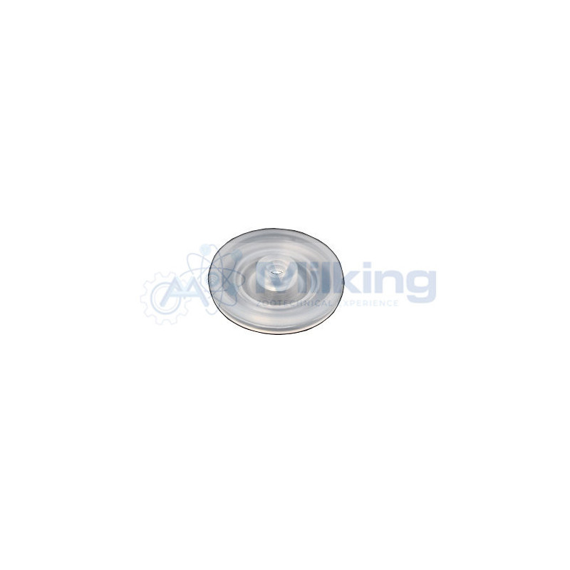 MEMBRANA PER ITP 207 CORR. 2070019