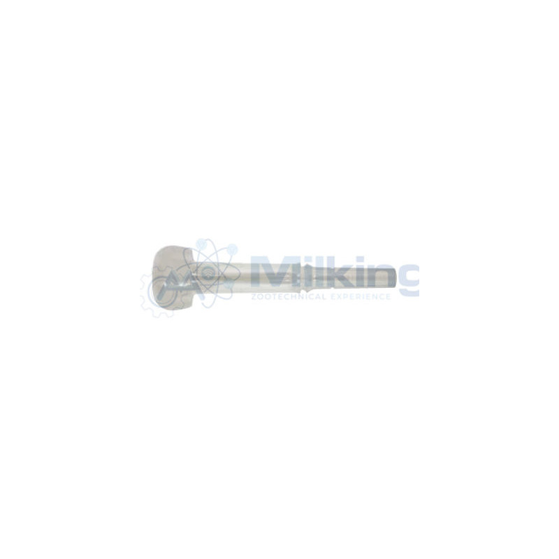 GUAINA SIL.CAPRE ITP D20