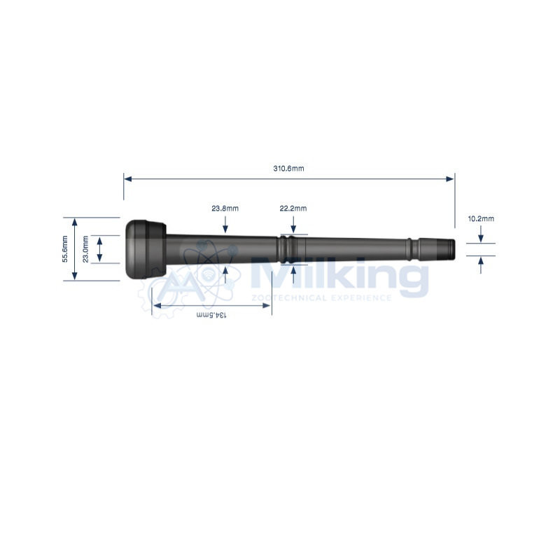 GUAINA TIPO MS. CORR. 901031-01