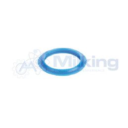 GUARNIZIONE FMS SILICONE CORR. 98887901