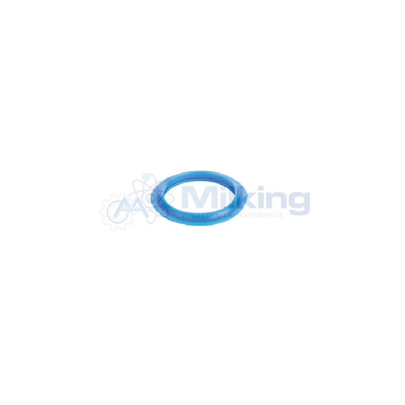 GUARNIZIONE FMS SILICONE CORR. 98887901