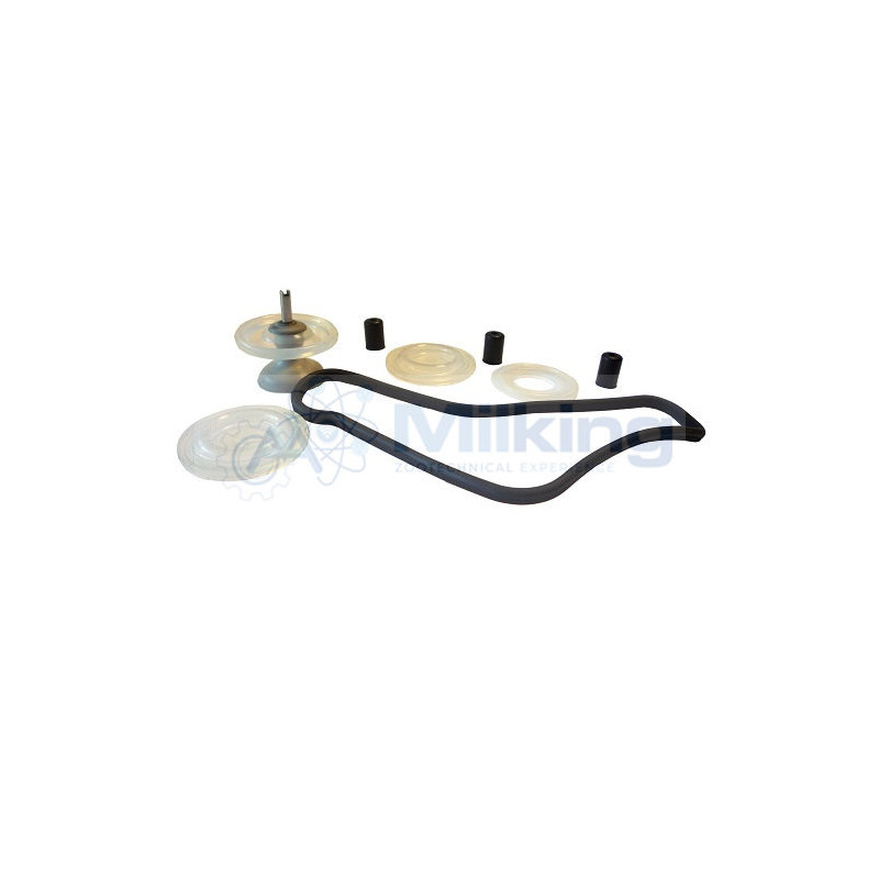 KIT RIPARAZIONE METATRON