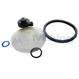 KIT RIPARAZIONE AMPLIFICATORE DL
