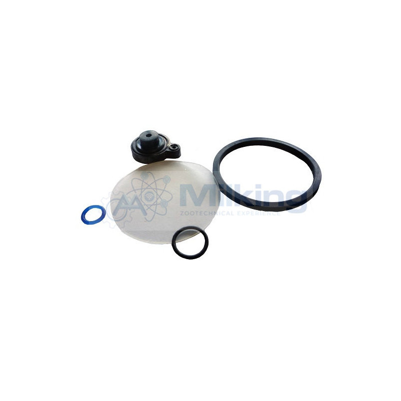 KIT RIPARAZIONE AMPLIFICATORE DL