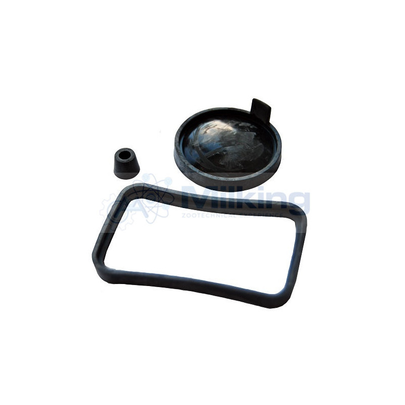 KIT RIPARAZIONE SENSORE DL