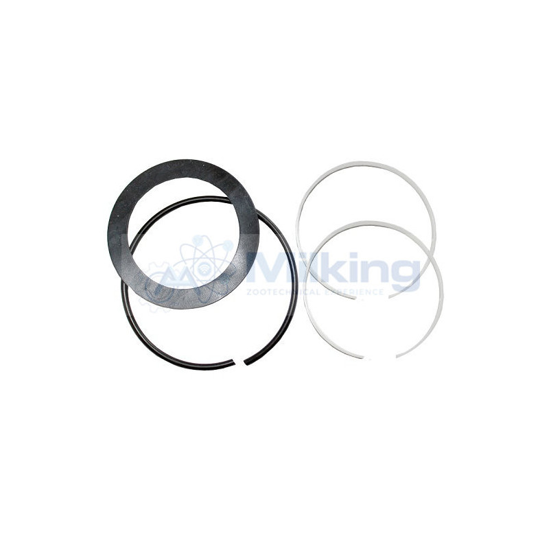 KIT RIPARAZIONE PER MOTORE MILKMASTER 4 PZ