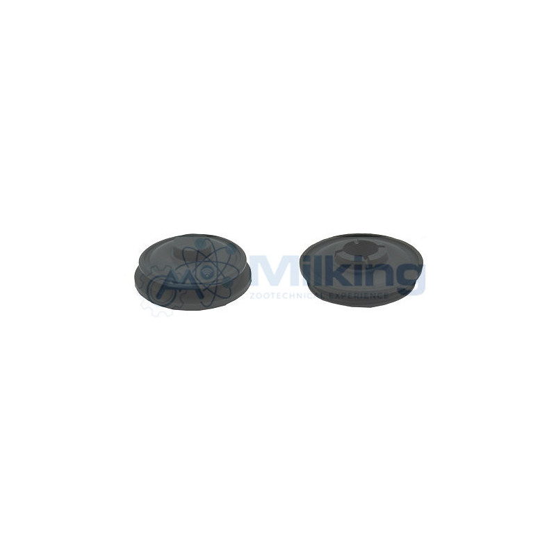 MEMBRANA PER TOP-VALVE CORR. 996748-01