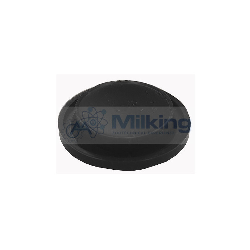 MEMBRANA LAVAGGIO AFIFREE CORR. 4099071