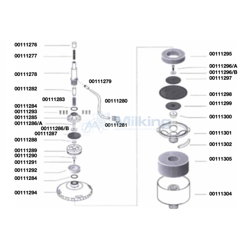 CONO REGISTRO