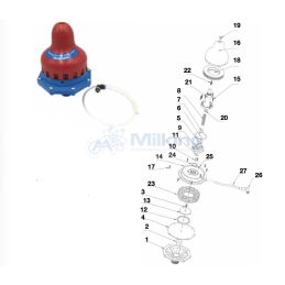 VALVOLA INFERIORE 2