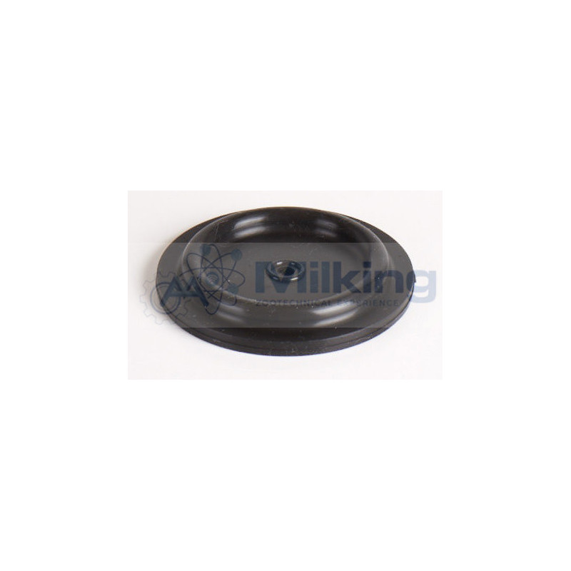 MEMBRANA VRM 1500-2500-4000 CORR. 95927502