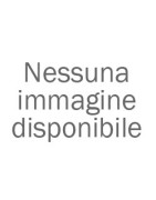 Bicchierini bovini